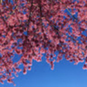 Meet your Posher, Lucy